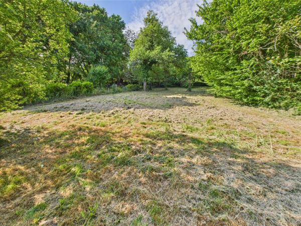 Tronsanges (58400) À Vendre – Maison de charme à Tronsanges