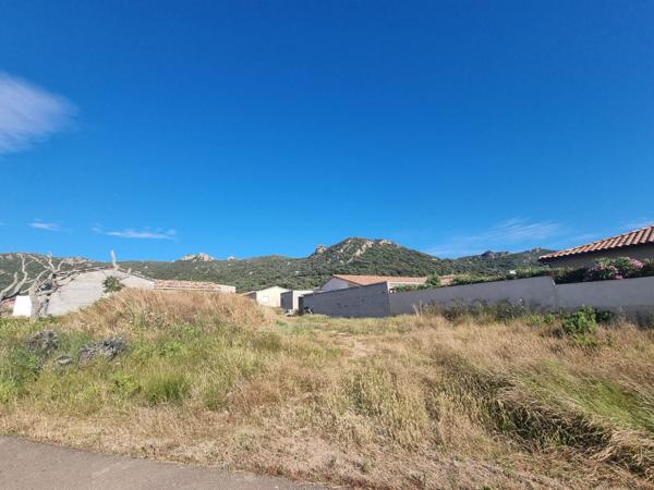 Figari (20114) FIGARI TERRAIN