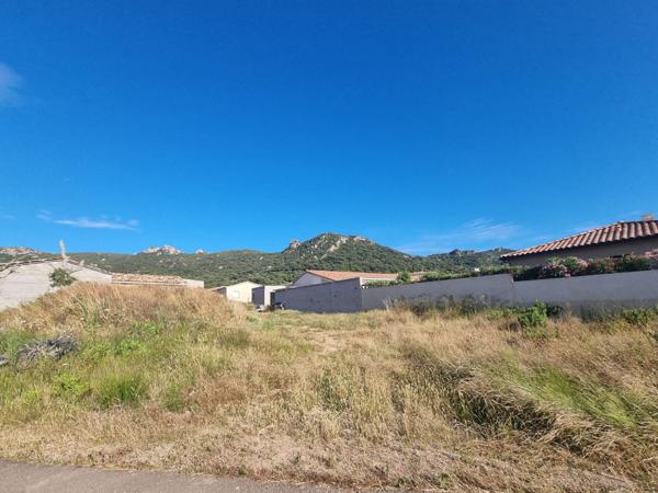 Figari (20114) FIGARI TERRAIN