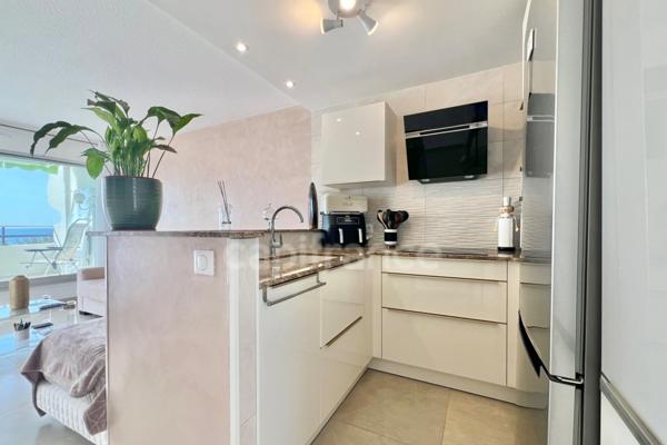 Appartement 42 m² vue mer + 64 m² terrasses + garage