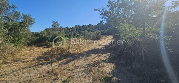 Terrain agricole de 15 401 m²