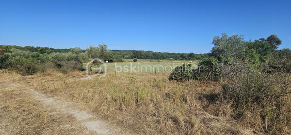 Terrain agricole de 15 401 m²