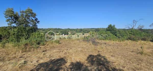Terrain agricole de 15 401 m²