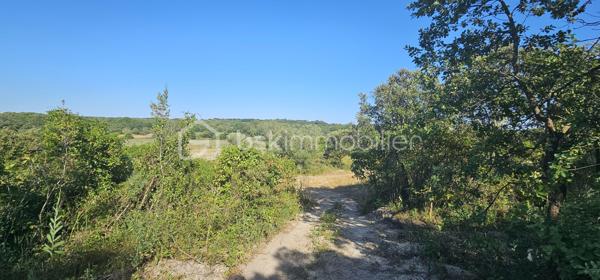Terrain agricole de 15 401 m²