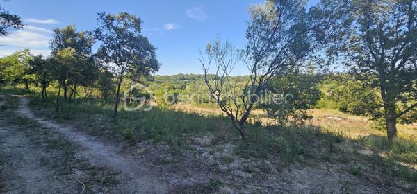 Terrain agricole de 15 401 m²