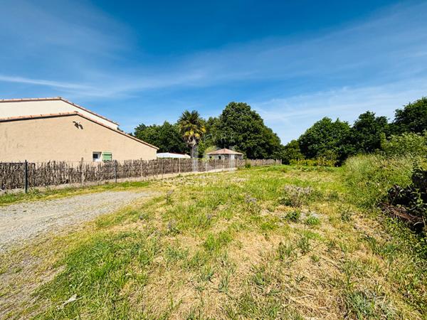 Terrain Saint Leger Les Vignes 351 M2