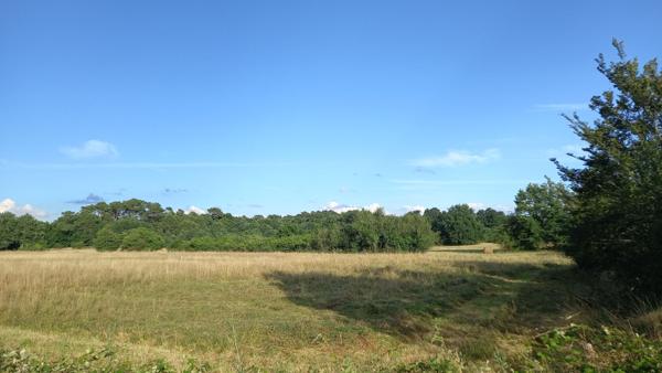 Terrain à 10 minutes de Montpon Ménestérol de 1400 m2.