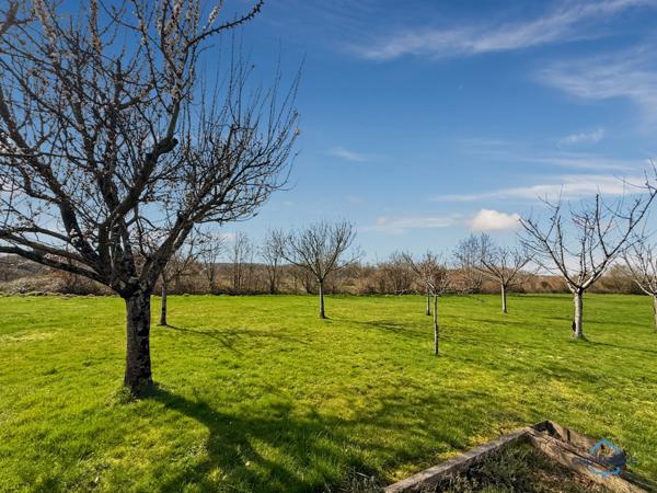 Dpt Gers (32), à vendre BARCELONNE DU GERS Maison T5 de 155 m² habitables + grands garages, dépendances et piscine sur 8678 m² de terrain, au calme