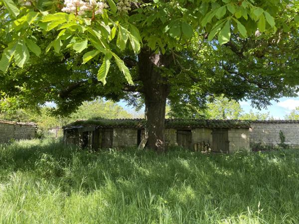 Maison à vendre à Chef-Boutonne (79110) - Deux-Sèvres