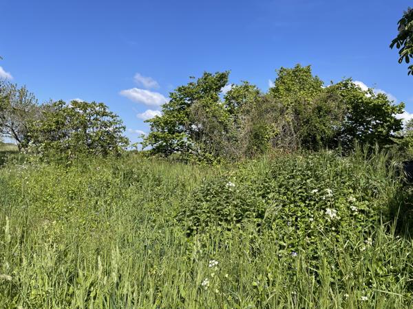 Maison à vendre à Chef-Boutonne (79110) - Deux-Sèvres
