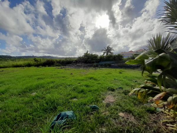 TERRAIN prêt pour CONSTRUCTION