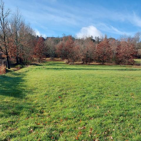 Maison à vendre 7 pièces MONTAUBAN (82) avec hangar de 150m², 6861m² de terrain avec une partie boisée.