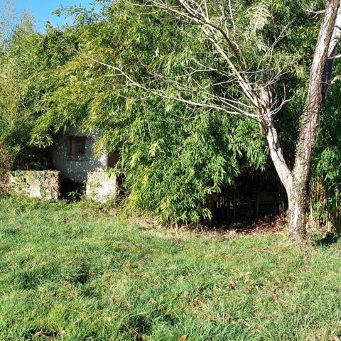 Maison à vendre 7 pièces MONTAUBAN (82) avec hangar de 150m², 6861m² de terrain avec une partie boisée.