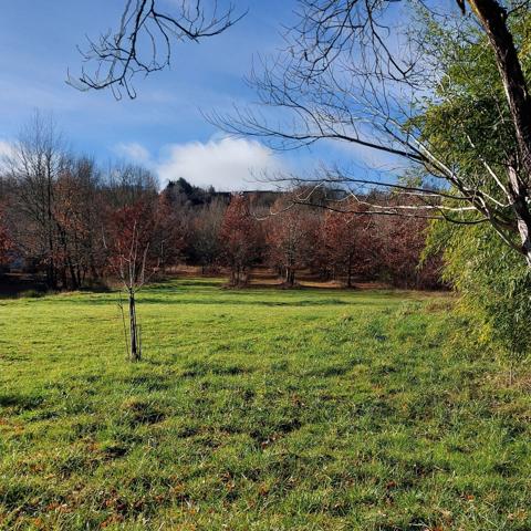 Maison à vendre 7 pièces MONTAUBAN (82) avec hangar de 150m², 6861m² de terrain avec une partie boisée.