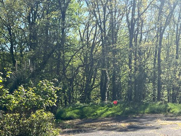 Proximité Rocade Emplacement prisé des familles, au calme au fond d'une impasse .