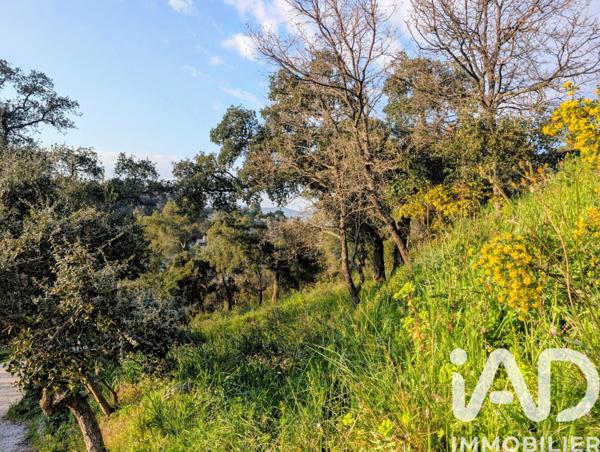 Terrain à vendre 740 m² Pierrefeu-du-Var
