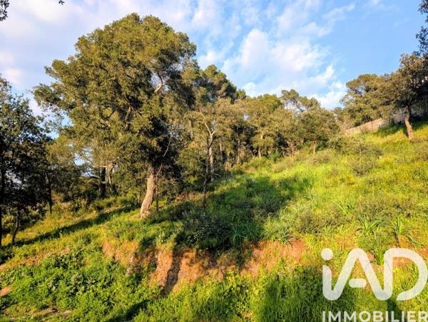 Terrain à vendre 740 m² Pierrefeu-du-Var