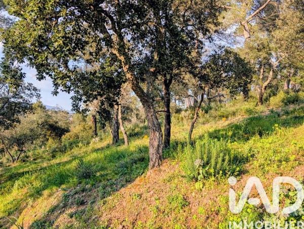 Terrain à vendre 740 m² Pierrefeu-du-Var