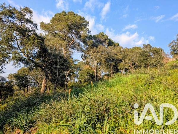 Terrain à vendre 740 m² Pierrefeu-du-Var