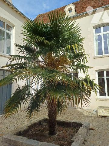 A vendre à ROMORANTIN-LANTHENAY (41) - Au coeur du centre-ville, découvrez cet élégant hôtel pa...