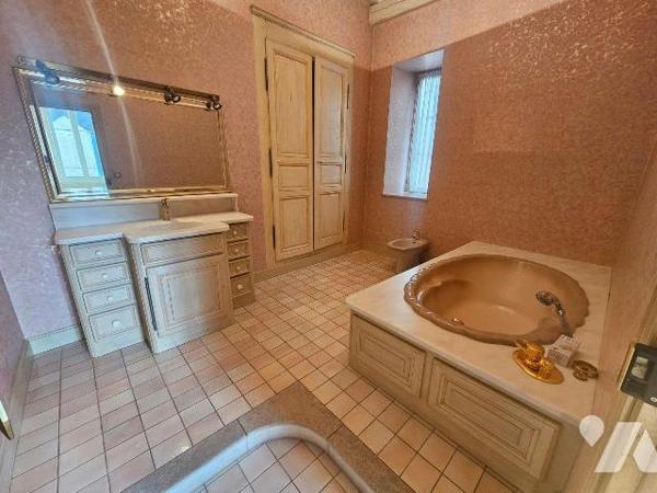 A vendre à ROMORANTIN-LANTHENAY (41) - Au coeur du centre-ville, découvrez cet élégant hôtel pa...