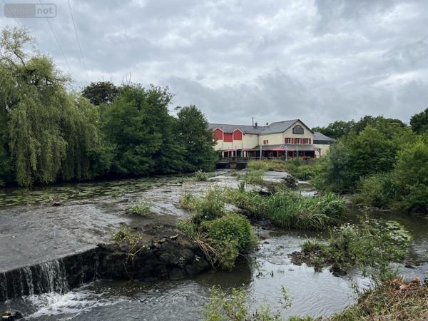 Fonds et/ou murs commerciaux à vendre à Beaupréau-en-Mauges dans le Maine-et-Loire (49510), ref : 49058-1416