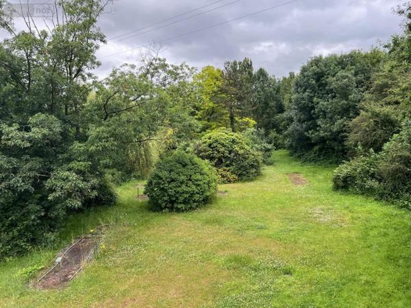 Fonds et/ou murs commerciaux à vendre à Beaupréau-en-Mauges dans le Maine-et-Loire (49510), ref : 49058-1416