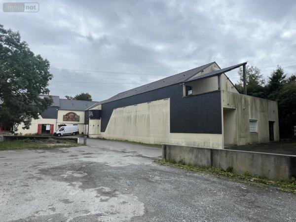 Fonds et/ou murs commerciaux à vendre à Beaupréau-en-Mauges dans le Maine-et-Loire (49510), ref : 49058-1416