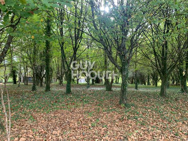 Terrain Castillon (canton D Arthez De Bearn) 1700 m2