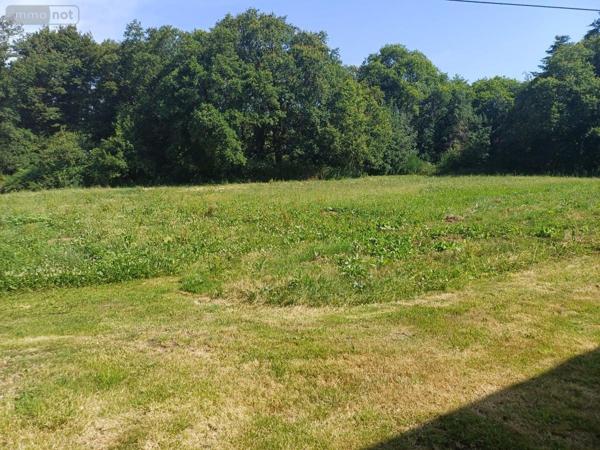 Maison à vendre à Plouay dans le Morbihan (56240), ref : 56032-1653