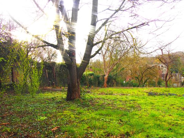 Le Thillay (95500) Sur la colline du Thillay terrain constructible et divisible.