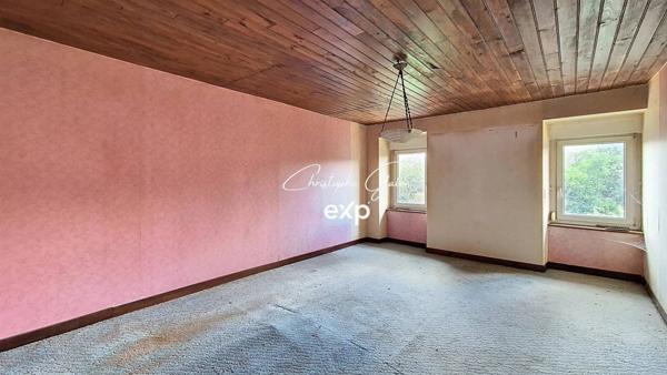 Maison à rénover avec potentiel et dépendances