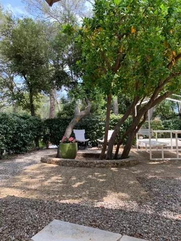 Vente                                                      Terrain
                        
                                         400 m2                     à Fréjus