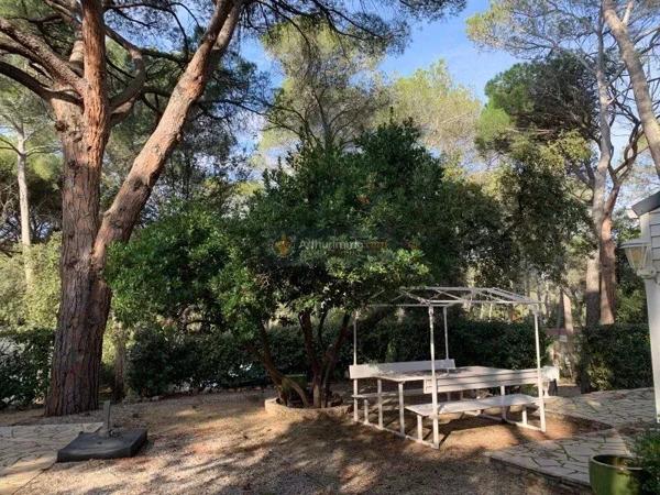 Vente                                                      Terrain
                        
                                         400 m2                     à Fréjus