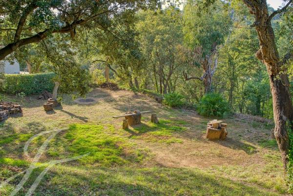 Magnifique vue sur le Chateau de Grimaud