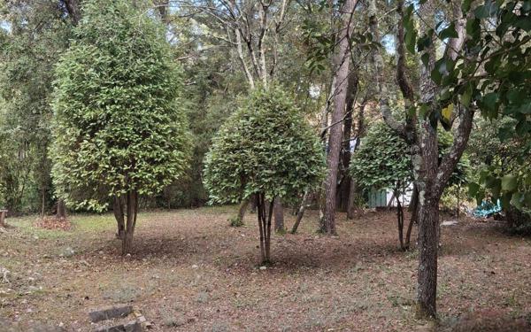 Maison à vendre    5 pièces •  Saint-Clément-de-Rivière