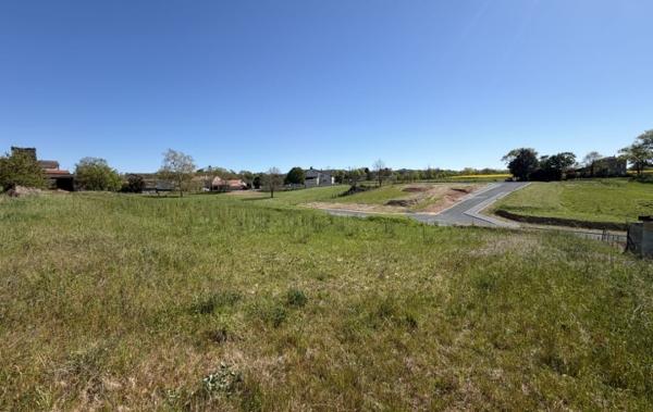 Vente Terrain Montdragon   