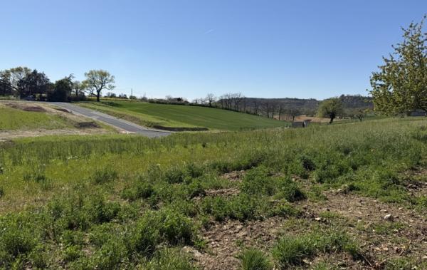 Vente Terrain Montdragon   