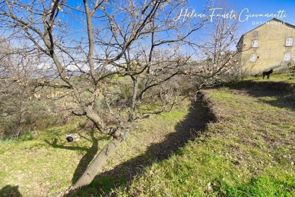 TERRAIN CONSTRUCTIBLE 1984m2 à RAPALE