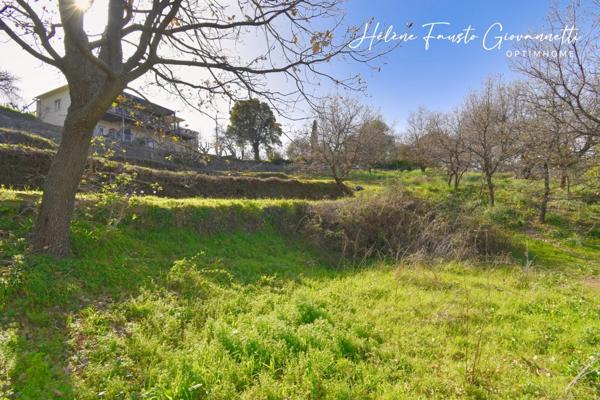 TERRAIN CONSTRUCTIBLE 1984m2 à RAPALE