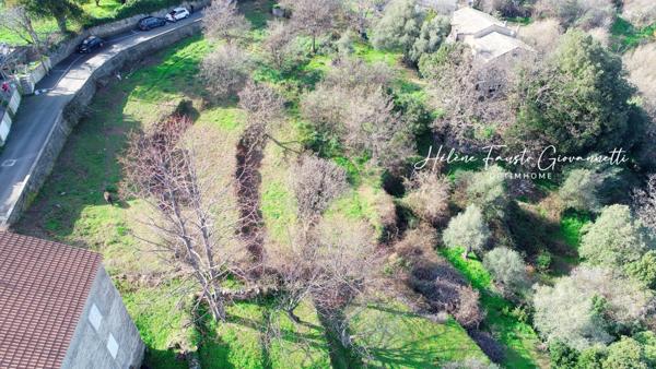 TERRAIN CONSTRUCTIBLE 1984m2 à RAPALE