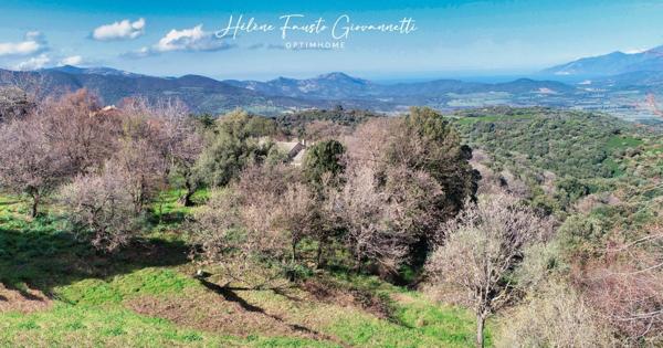 TERRAIN CONSTRUCTIBLE 1984m2 à RAPALE