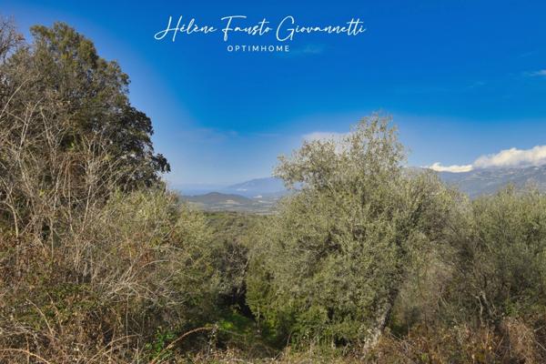 TERRAIN CONSTRUCTIBLE 1984m2 à RAPALE