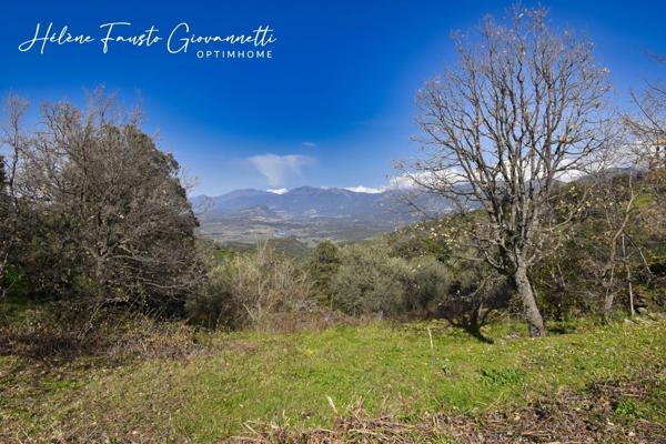 TERRAIN CONSTRUCTIBLE 1984m2 à RAPALE