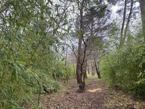 Maison à vendre |  Coutras |  5 pièces | 110 m²