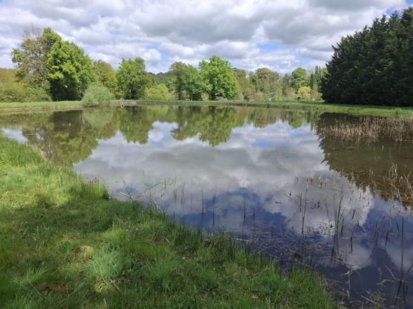 Terrain à vendre |  Châtillon-sur-Indre |  15916 m²