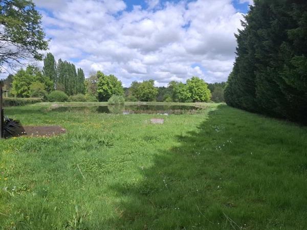 Terrain à vendre |  Châtillon-sur-Indre |  15916 m²