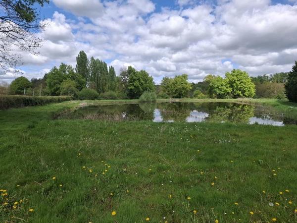 Terrain à vendre |  Châtillon-sur-Indre |  15916 m²