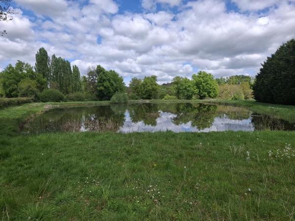 Terrain à vendre |  Châtillon-sur-Indre |  15916 m²