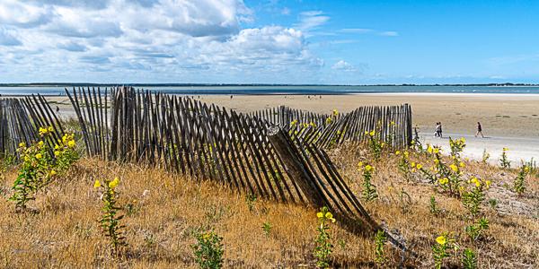 Terrain à bâtir Le Crotoy